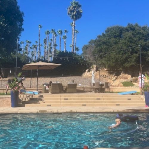 A backyard swimming pool with people swimming and lounging, surrounded by trees and potted plants under a clear blue sky.