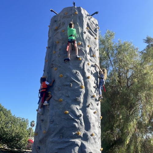 Children climbing an outdoor rock wall with safety gear on, surrounded by trees and clear blue sky in the background.